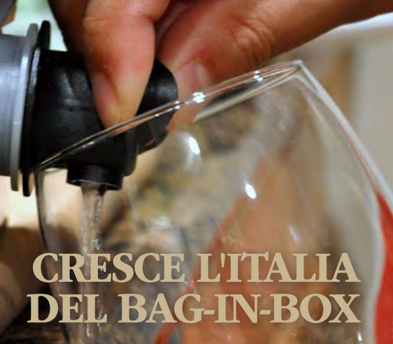 ULTIMI DATI: Meno vino sulle tavole degli italiani, vincono bag in box e brik (2019)